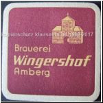 ambergwing (9).jpg